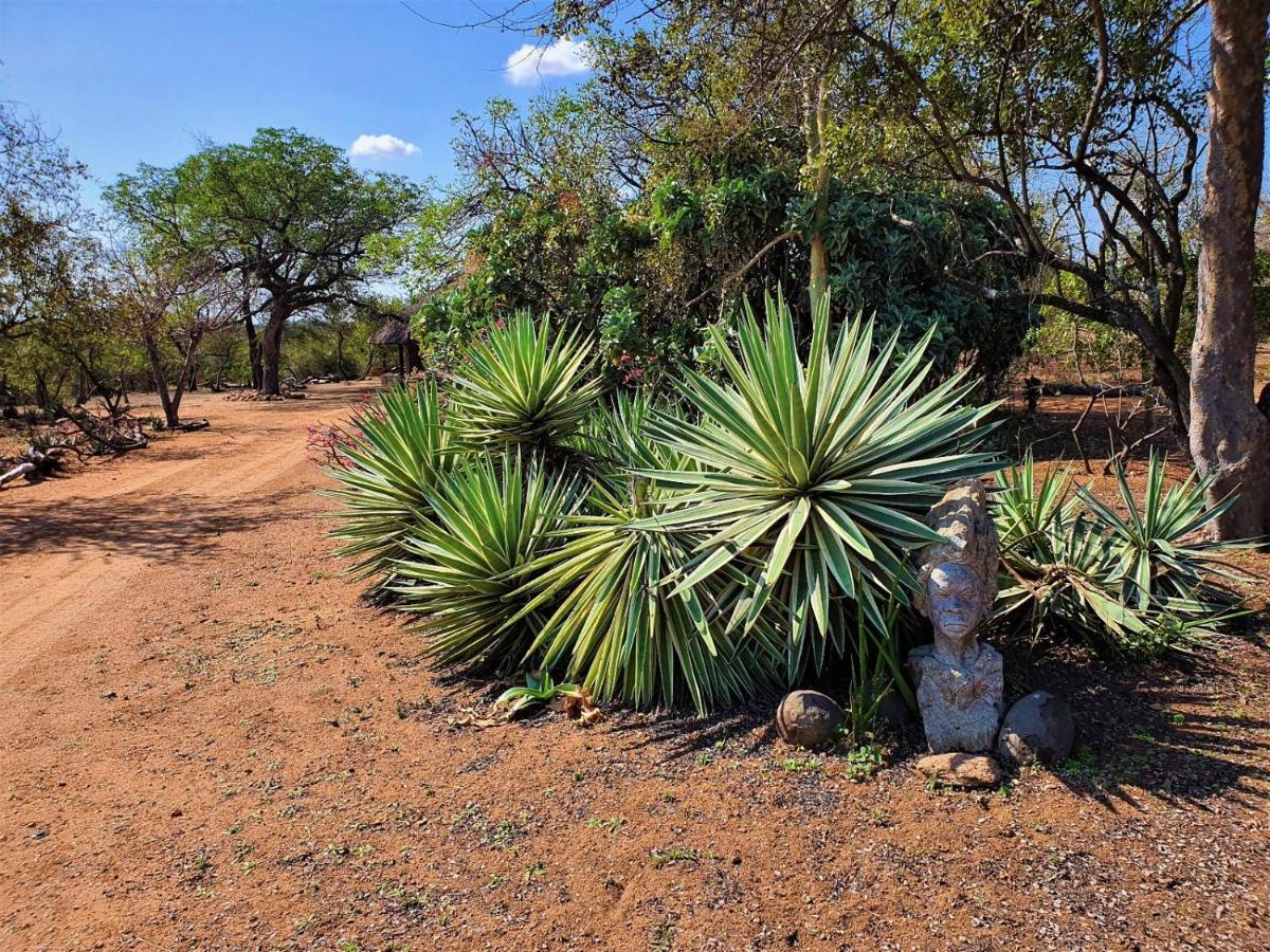 Masorini Bush Lodge & Safari Tents Phalaborwa Dış mekan fotoğraf