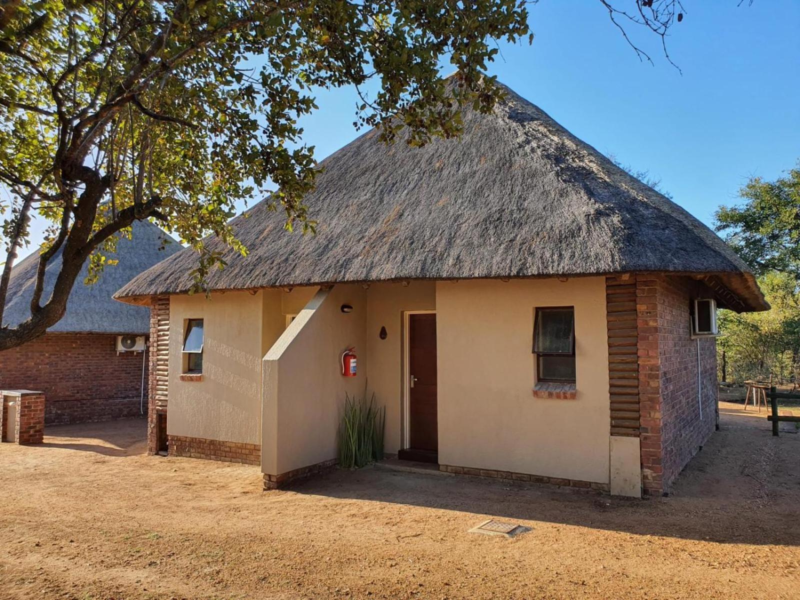 Masorini Bush Lodge & Safari Tents Phalaborwa Oda fotoğraf