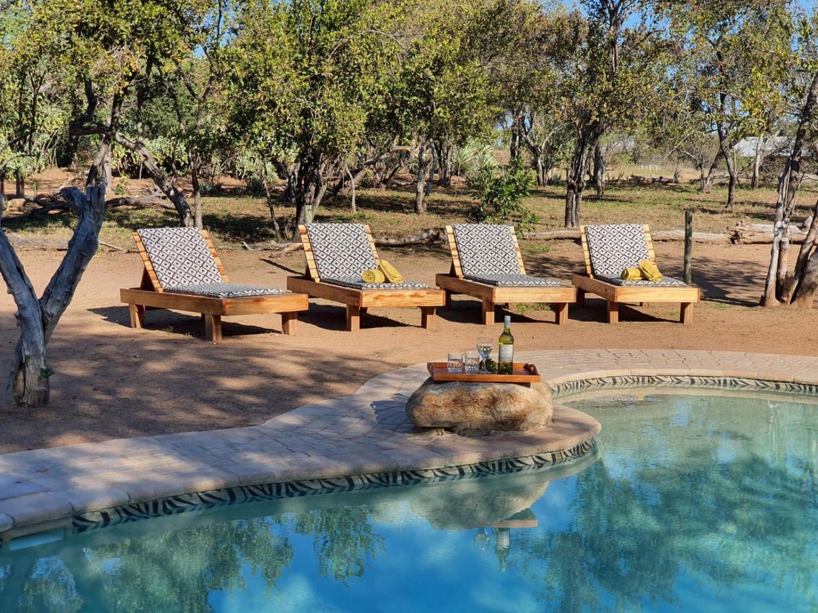 Masorini Bush Lodge & Safari Tents Phalaborwa Dış mekan fotoğraf