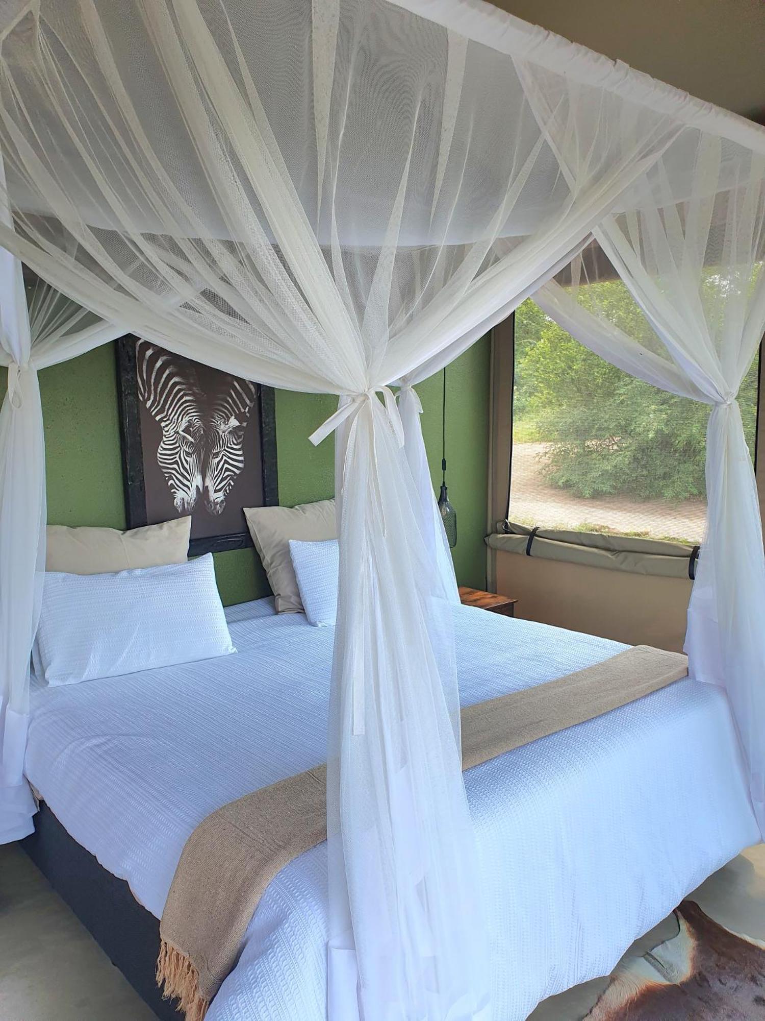Masorini Bush Lodge & Safari Tents Phalaborwa Dış mekan fotoğraf