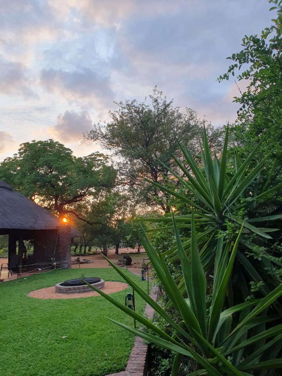 Masorini Bush Lodge & Safari Tents Phalaborwa Dış mekan fotoğraf