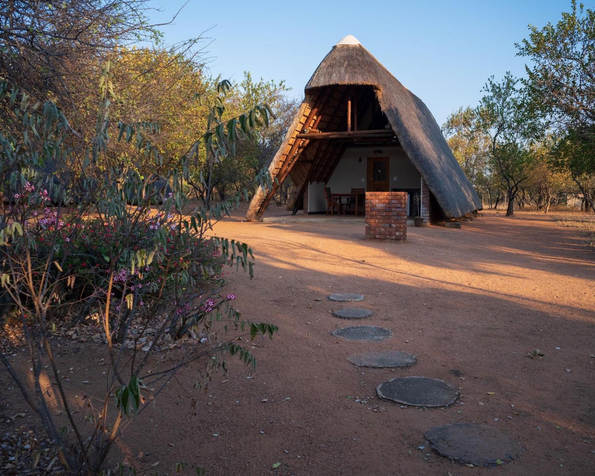 Masorini Bush Lodge & Safari Tents Phalaborwa Dış mekan fotoğraf