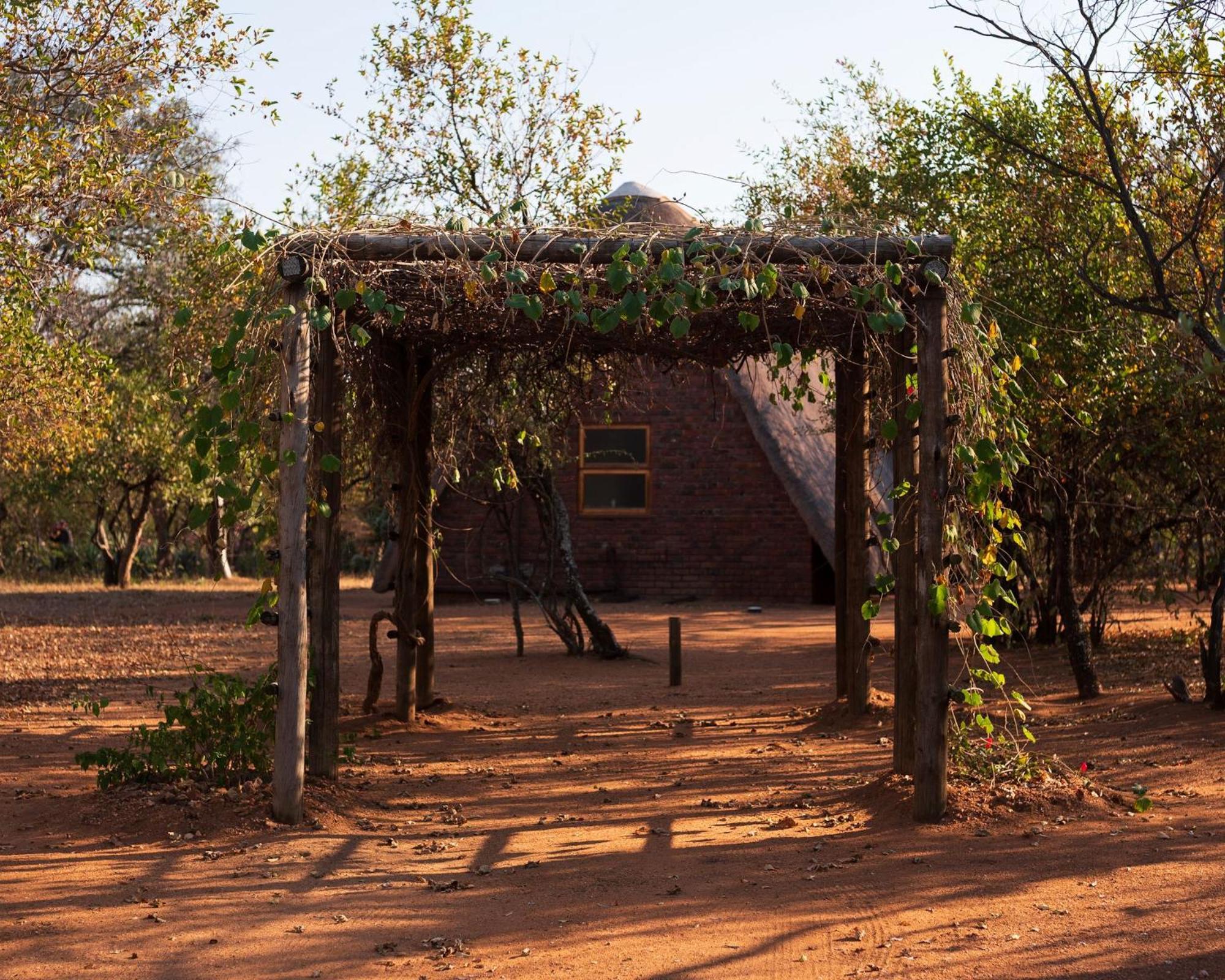 Masorini Bush Lodge & Safari Tents Phalaborwa Dış mekan fotoğraf